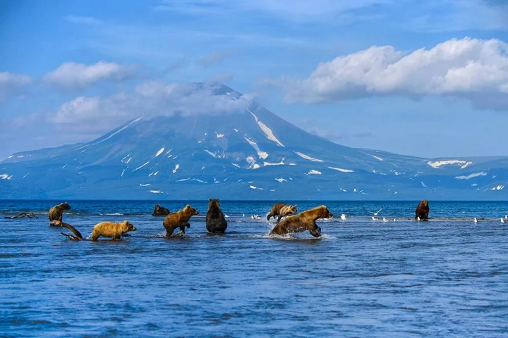 Камчатка